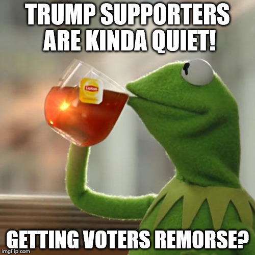 But That's None Of My Business Meme | TRUMP SUPPORTERS ARE KINDA QUIET! GETTING VOTERS REMORSE? | image tagged in memes,but thats none of my business,kermit the frog | made w/ Imgflip meme maker