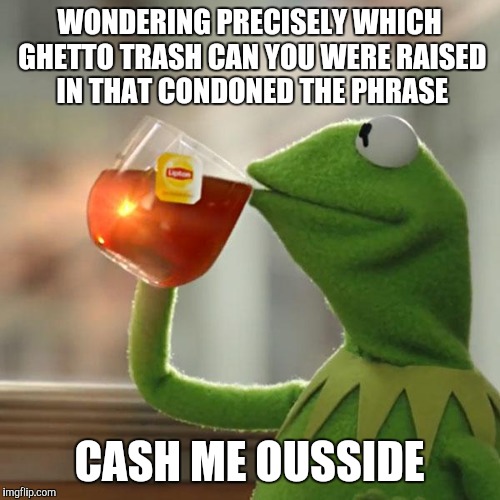But That's None Of My Business Meme | WONDERING PRECISELY WHICH GHETTO TRASH CAN YOU WERE RAISED IN THAT CONDONED THE PHRASE; CASH ME OUSSIDE | image tagged in memes,but thats none of my business,kermit the frog,seriously | made w/ Imgflip meme maker
