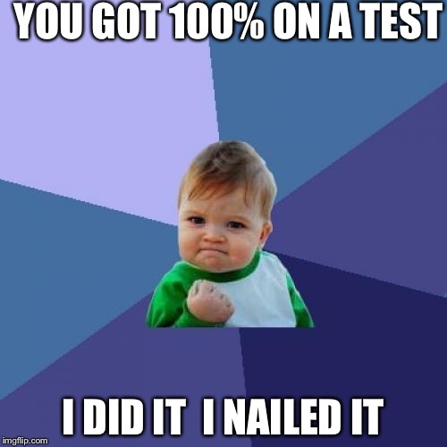 Success Kid | YOU GOT 100% ON A TEST; I DID IT 
I NAILED IT | image tagged in memes,success kid | made w/ Imgflip meme maker