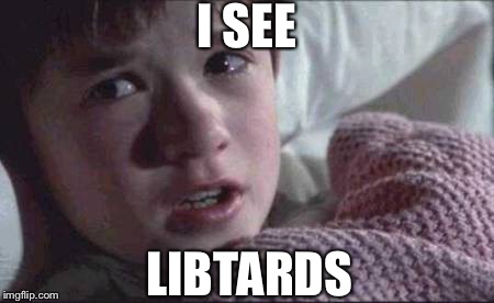 I See... | I SEE; LIBTARDS | image tagged in memes,i see dead people,liberals,retarded,retard,full retard | made w/ Imgflip meme maker