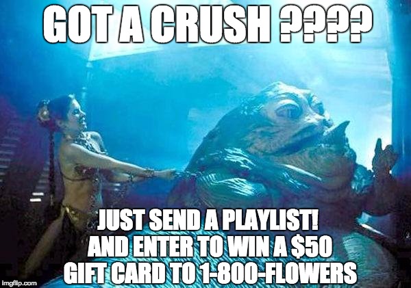 princess leia lena dunham | GOT A CRUSH ???? JUST SEND A PLAYLIST! AND ENTER TO WIN A $50 GIFT CARD TO 1-800-FLOWERS | image tagged in princess leia lena dunham | made w/ Imgflip meme maker