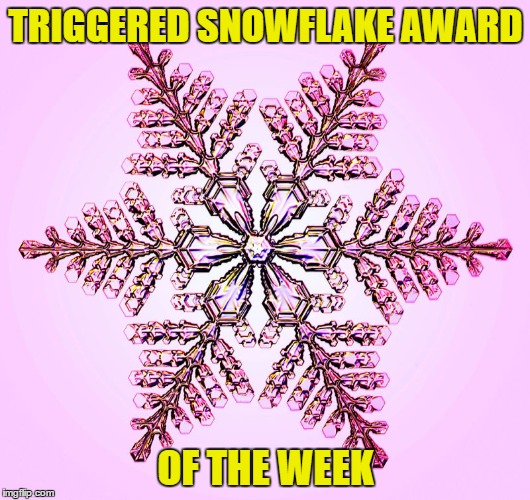 TRIGGERED SNOWFLAKE AWARD OF THE WEEK | made w/ Imgflip meme maker