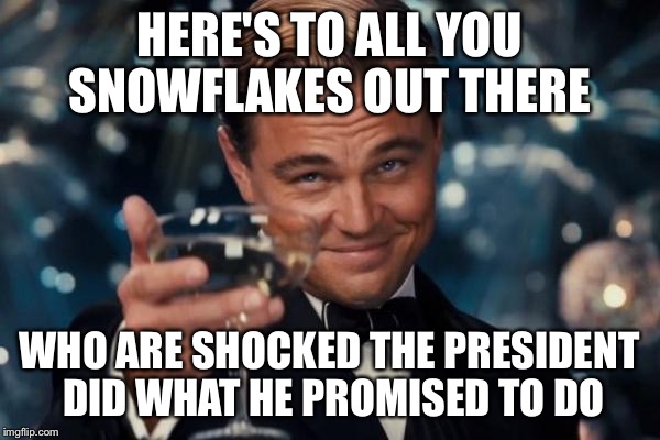Trump Promised  | HERE'S TO ALL YOU SNOWFLAKES OUT THERE; WHO ARE SHOCKED THE PRESIDENT DID WHAT HE PROMISED TO DO | image tagged in memes,leonardo dicaprio cheers | made w/ Imgflip meme maker