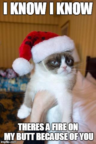 Grumpy Cat Christmas | I KNOW I KNOW; THERES A FIRE ON MY BUTT BECAUSE OF YOU | image tagged in memes,grumpy cat christmas,grumpy cat | made w/ Imgflip meme maker