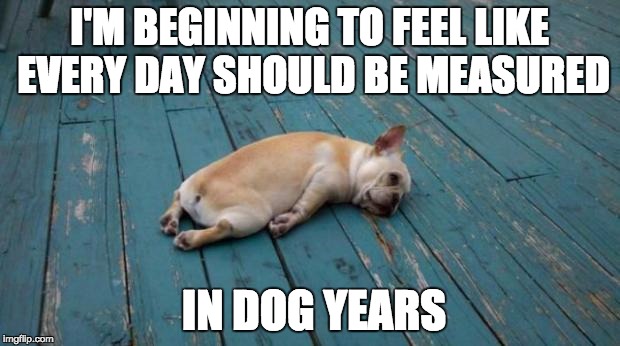 tired puppy | I'M BEGINNING TO FEEL LIKE EVERY DAY SHOULD BE MEASURED; IN DOG YEARS | image tagged in tired puppy | made w/ Imgflip meme maker