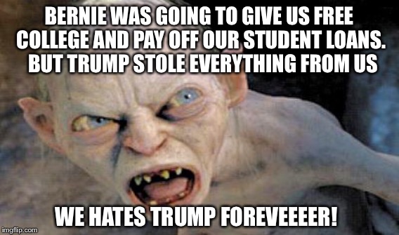 BERNIE WAS GOING TO GIVE US FREE COLLEGE AND PAY OFF OUR STUDENT LOANS.  BUT TRUMP STOLE EVERYTHING FROM US WE HATES TRUMP FOREVEEEER! | made w/ Imgflip meme maker