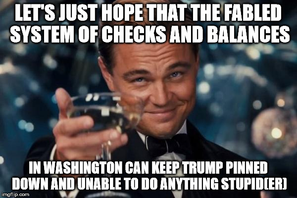 Leonardo Dicaprio Cheers Meme | LET'S JUST HOPE THAT THE FABLED SYSTEM OF CHECKS AND BALANCES IN WASHINGTON CAN KEEP TRUMP PINNED DOWN AND UNABLE TO DO ANYTHING STUPID(ER) | image tagged in memes,leonardo dicaprio cheers | made w/ Imgflip meme maker