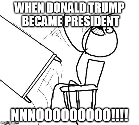 Table Flip Guy | WHEN DONALD TRUMP BECAME PRESIDENT; NNNOOOOOOOOO!!!! | image tagged in memes,table flip guy | made w/ Imgflip meme maker