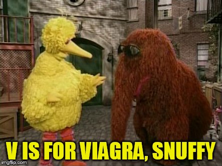 Big Bird And Snuffy | V IS FOR VIAGRA, SNUFFY | image tagged in memes,big bird and snuffy | made w/ Imgflip meme maker