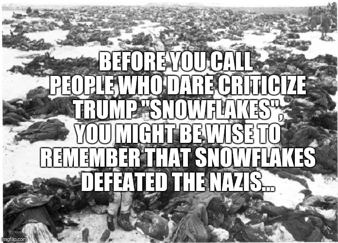 BEFORE YOU CALL PEOPLE WHO DARE CRITICIZE TRUMP "SNOWFLAKES", YOU MIGHT BE WISE TO REMEMBER THAT SNOWFLAKES DEFEATED THE NAZIS... | made w/ Imgflip meme maker