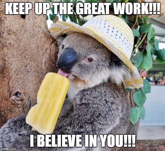 Keep it up Koala | image tagged in koala,australia,original meme,motivation | made w/ Imgflip meme maker