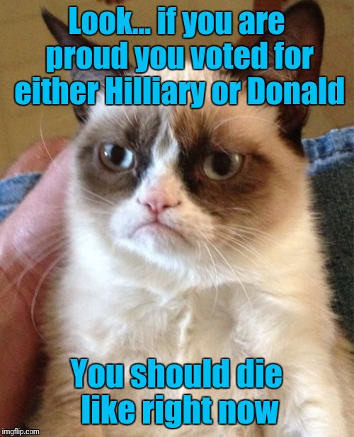 Grumpy speaks the truth. Again | Look... if you are proud you voted for either Hilliary or Donald; You should die like right now | image tagged in memes,grumpy cat | made w/ Imgflip meme maker