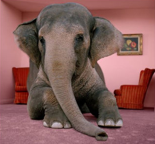 High Quality Elephant in the room Blank Meme Template
