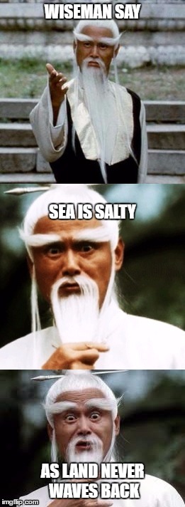 Bad Pun Chinese Man | WISEMAN SAY; SEA IS SALTY; AS LAND NEVER WAVES BACK | image tagged in bad pun chinese man | made w/ Imgflip meme maker