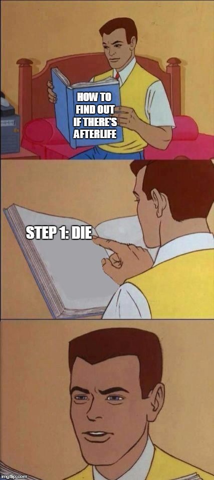 Book of Idiots | HOW TO FIND OUT IF THERE'S AFTERLIFE; STEP 1: DIE | image tagged in book of idiots | made w/ Imgflip meme maker