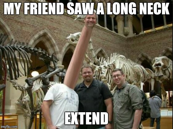 Long Neck | MY FRIEND SAW A LONG NECK; EXTEND | image tagged in long neck | made w/ Imgflip meme maker