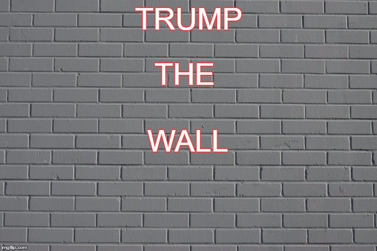 The wall  | TRUMP; THE; WALL | image tagged in donald trump,wall | made w/ Imgflip meme maker