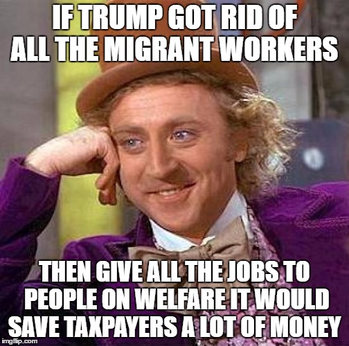 Creepy Condescending Wonka | IF TRUMP GOT RID OF ALL THE MIGRANT WORKERS; THEN GIVE ALL THE JOBS TO PEOPLE ON WELFARE IT WOULD SAVE TAXPAYERS A LOT OF MONEY | image tagged in memes,creepy condescending wonka | made w/ Imgflip meme maker
