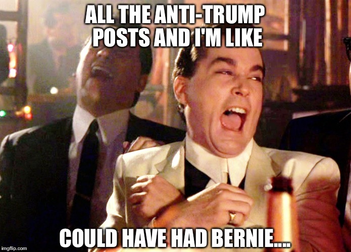 Good Fellas Hilarious Meme | ALL THE ANTI-TRUMP POSTS AND I'M LIKE; COULD HAVE HAD BERNIE.... | image tagged in memes,good fellas hilarious | made w/ Imgflip meme maker