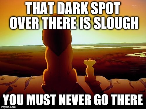 Lion King Meme | THAT DARK SPOT OVER THERE IS SLOUGH; YOU MUST NEVER GO THERE | image tagged in memes,lion king | made w/ Imgflip meme maker