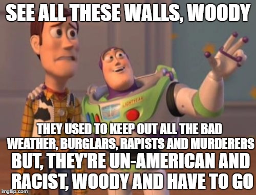 X, X Everywhere Meme | SEE ALL THESE WALLS, WOODY; THEY USED TO KEEP OUT ALL THE BAD WEATHER, BURGLARS, RAPISTS AND MURDERERS; BUT, THEY'RE UN-AMERICAN AND RACIST, WOODY AND HAVE TO GO | image tagged in memes,x x everywhere | made w/ Imgflip meme maker