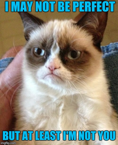 Grumpy Cat | I MAY NOT BE PERFECT; BUT AT LEAST I'M NOT YOU | image tagged in memes,grumpy cat | made w/ Imgflip meme maker