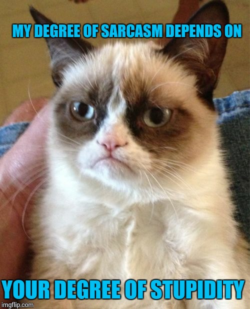 Grumpy Cat | MY DEGREE OF SARCASM DEPENDS ON; YOUR DEGREE OF STUPIDITY | image tagged in memes,grumpy cat | made w/ Imgflip meme maker