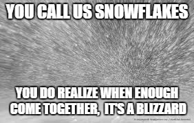 YOU CALL US SNOWFLAKES; YOU DO REALIZE WHEN ENOUGH COME TOGETHER, 
IT'S A BLIZZARD | image tagged in snowflakes,blizzard,snowflake | made w/ Imgflip meme maker