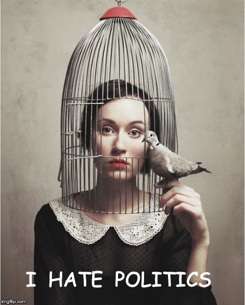 Love one another | I  HATE  POLITICS | image tagged in politics,love | made w/ Imgflip meme maker