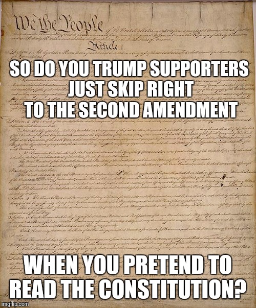 Constitution | SO DO YOU TRUMP SUPPORTERS JUST SKIP RIGHT TO THE SECOND AMENDMENT; WHEN YOU PRETEND TO READ THE CONSTITUTION? | image tagged in constitution | made w/ Imgflip meme maker