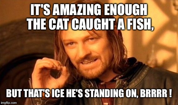 One Does Not Simply Meme | IT'S AMAZING ENOUGH THE CAT CAUGHT A FISH, BUT THAT'S ICE HE'S STANDING ON, BRRRR ! | image tagged in memes,one does not simply | made w/ Imgflip meme maker