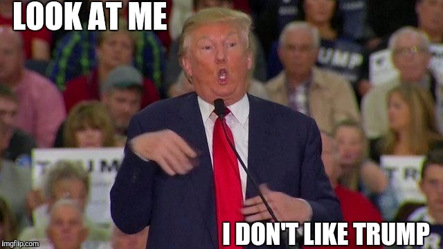 Love him so much! | LOOK AT ME I DON'T LIKE TRUMP | image tagged in memes | made w/ Imgflip meme maker