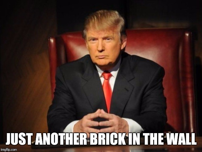 donald trump | JUST ANOTHER BRICK IN THE WALL | image tagged in donald trump | made w/ Imgflip meme maker