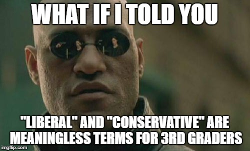 rethugs vs libtards | WHAT IF I TOLD YOU "LIBERAL" AND "CONSERVATIVE" ARE MEANINGLESS TERMS FOR 3RD GRADERS | image tagged in memes,matrix morpheus,liberals,conservative,liberal vs conservative,donald trump | made w/ Imgflip meme maker