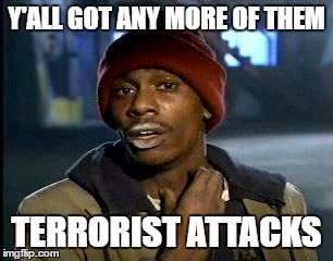 Y'all Got Any More Of That Meme | Y'ALL GOT ANY MORE OF THEM; TERRORIST ATTACKS | image tagged in memes,yall got any more of | made w/ Imgflip meme maker