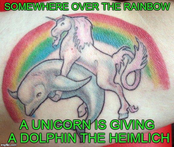 rainbow dolphin unicorn