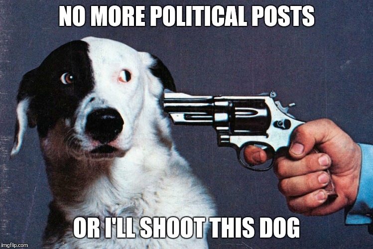 Shoot This Dog | NO MORE POLITICAL POSTS; OR I'LL SHOOT THIS DOG | image tagged in shoot this dog,national lampoon,stop or else | made w/ Imgflip meme maker