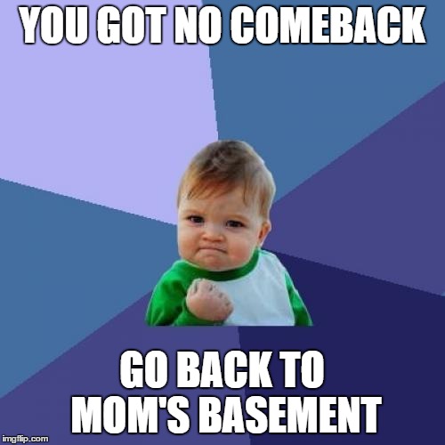 YOU GOT NO COMEBACK GO BACK TO MOM'S BASEMENT | image tagged in memes,success kid | made w/ Imgflip meme maker