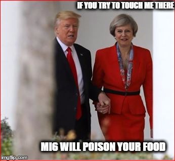 National Embarrassment  | IF YOU TRY TO TOUCH ME THERE; MI6 WILL POISON YOUR FOOD | image tagged in donald trump | made w/ Imgflip meme maker