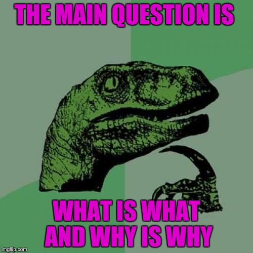 Uhhhhhhhhhh... | THE MAIN QUESTION IS; WHAT IS WHAT AND WHY IS WHY | image tagged in memes,philosoraptor | made w/ Imgflip meme maker