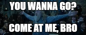Ain't nobody messin' with Dumbledore | YOU WANNA GO? COME AT ME, BRO | image tagged in harry potter | made w/ Imgflip meme maker
