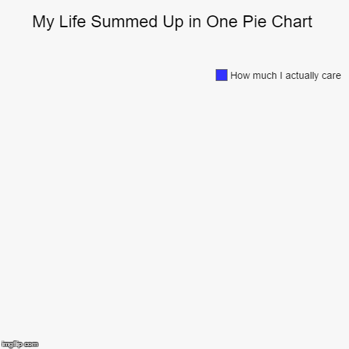 image tagged in funny,pie charts | made w/ Imgflip chart maker