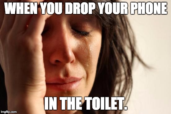 First World Problems | WHEN YOU DROP YOUR PHONE; IN THE TOILET. | image tagged in memes,first world problems | made w/ Imgflip meme maker