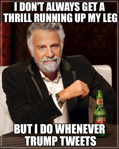 The Most Interesting Man In The World Meme | I DON'T ALWAYS GET A THRILL RUNNING UP MY LEG BUT I DO WHENEVER TRUMP TWEETS | image tagged in memes,the most interesting man in the world | made w/ Imgflip meme maker