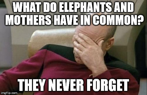 Captain Picard Facepalm Meme | WHAT DO ELEPHANTS AND MOTHERS HAVE IN COMMON? THEY NEVER FORGET | image tagged in memes,captain picard facepalm | made w/ Imgflip meme maker