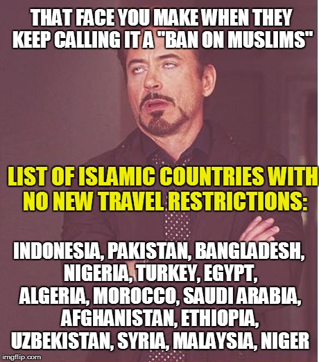Face You Make Robert Downey Jr | THAT FACE YOU MAKE WHEN THEY KEEP CALLING IT A "BAN ON MUSLIMS"; LIST OF ISLAMIC COUNTRIES WITH NO NEW TRAVEL RESTRICTIONS:; INDONESIA, PAKISTAN, BANGLADESH, NIGERIA, TURKEY, EGYPT, ALGERIA, MOROCCO, SAUDI ARABIA, AFGHANISTAN, ETHIOPIA, UZBEKISTAN, SYRIA, MALAYSIA, NIGER | image tagged in memes,face you make robert downey jr | made w/ Imgflip meme maker