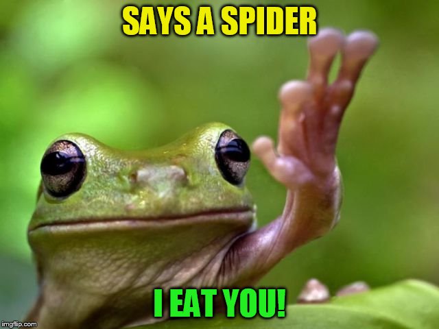 SAYS A SPIDER I EAT YOU! | made w/ Imgflip meme maker