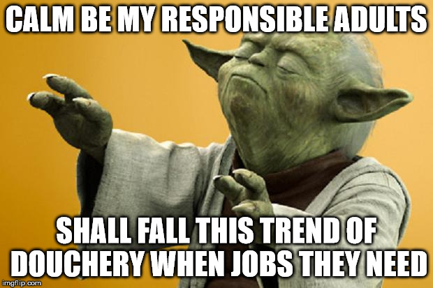 Before the fall, pride goeth... | CALM BE MY RESPONSIBLE ADULTS; SHALL FALL THIS TREND OF DOUCHERY WHEN JOBS THEY NEED | image tagged in yoda,memes,adulting,self respect,reciprocity,karma | made w/ Imgflip meme maker