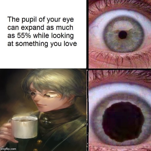 Professor Ozpin is #1 husbando. | image tagged in rwby | made w/ Imgflip meme maker