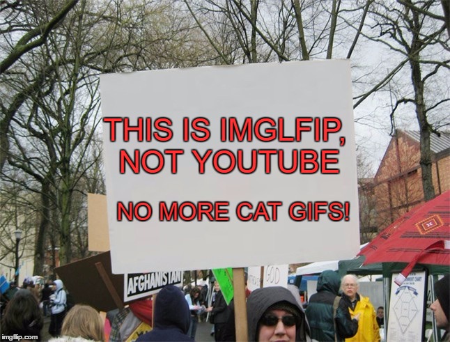 Protest All The Gifs! (Look At The Tags) | THIS IS IMGLFIP, NOT YOUTUBE; NO MORE CAT GIFS! | image tagged in blank protest sign,this,is,not an,accurate,meme | made w/ Imgflip meme maker